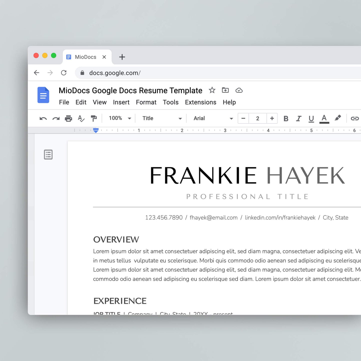 ATS-friendly Resume Template: Frankie Hayek - MioDocs